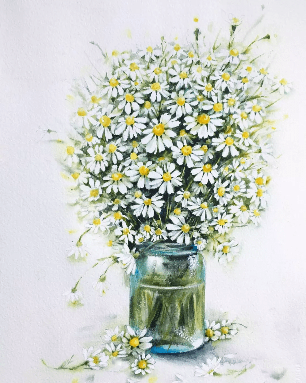 爱上这份坚执,水彩小雏菊花卉系列作品