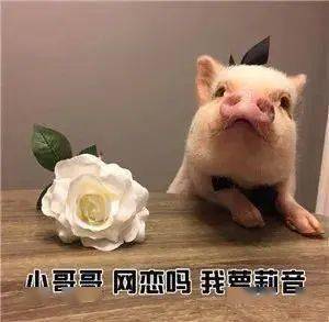 0271b0b3604f4da89c32c58677a993f1.jpeg