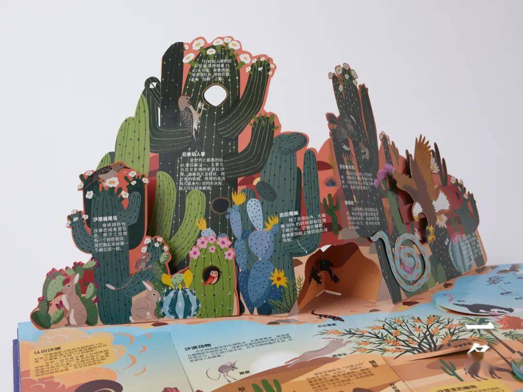 超酷炫地球立体书让孩子上知天文下知地理