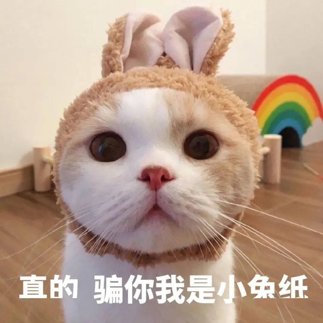 情侣万能聊天表情包老子的爱收好