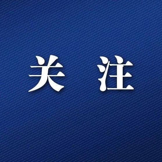 假的!假的!假的!_花园里