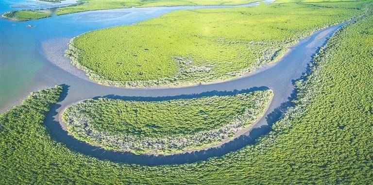 海南岛1900多公里海岸线形态各异、资源丰富