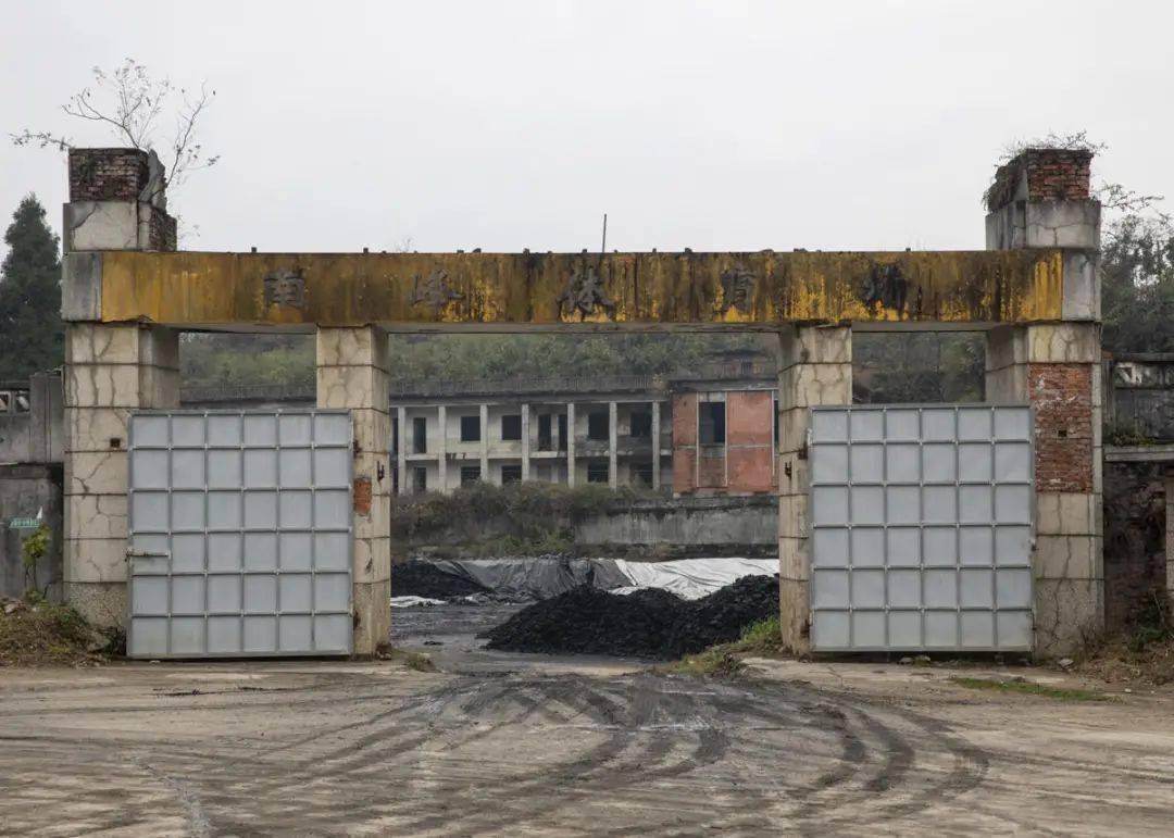 南峰体育场大门蜘蛛网上的树叶宿舍灶台的墙面空地上的厕所窗口长满