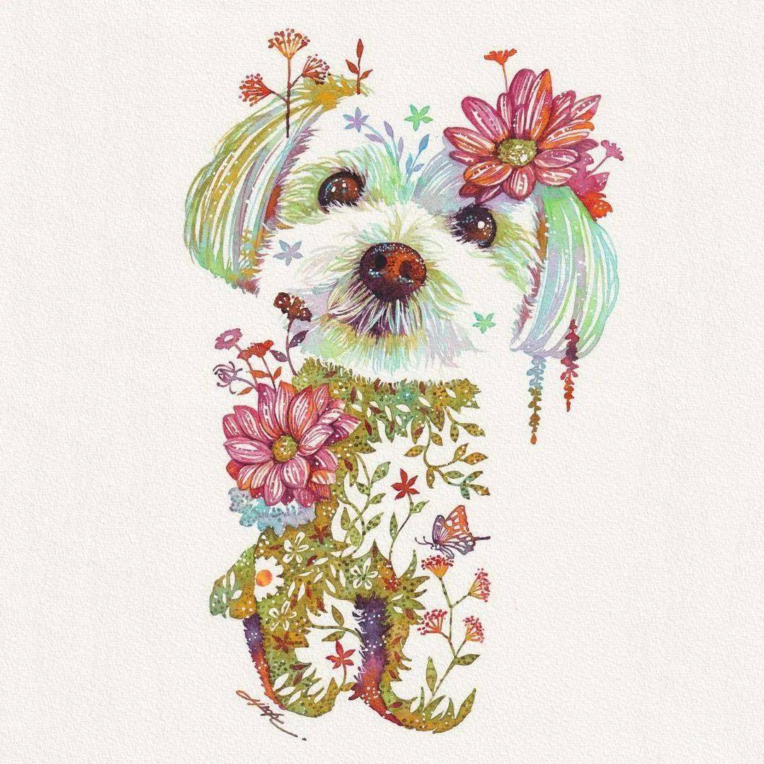 个个都美成花了