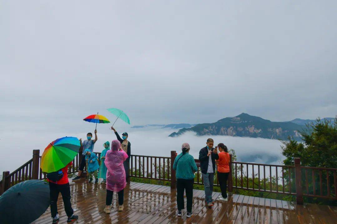 风里雨简谱_等风等雨我等你简谱