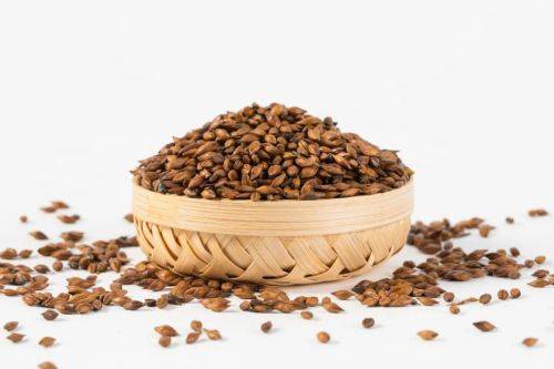 陈皮|大麦茶不仅有助消食导滞，还有这些功效