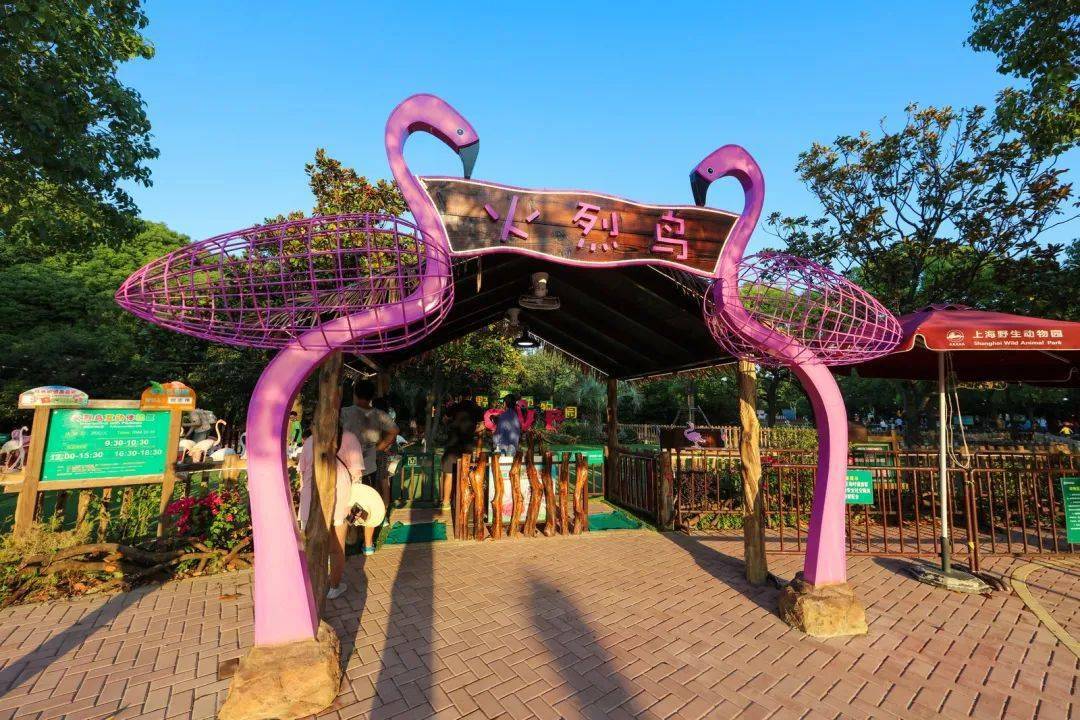 不断优化服务 提升游客的游园体验是"天然氧吧"和"减压乐园"环境好