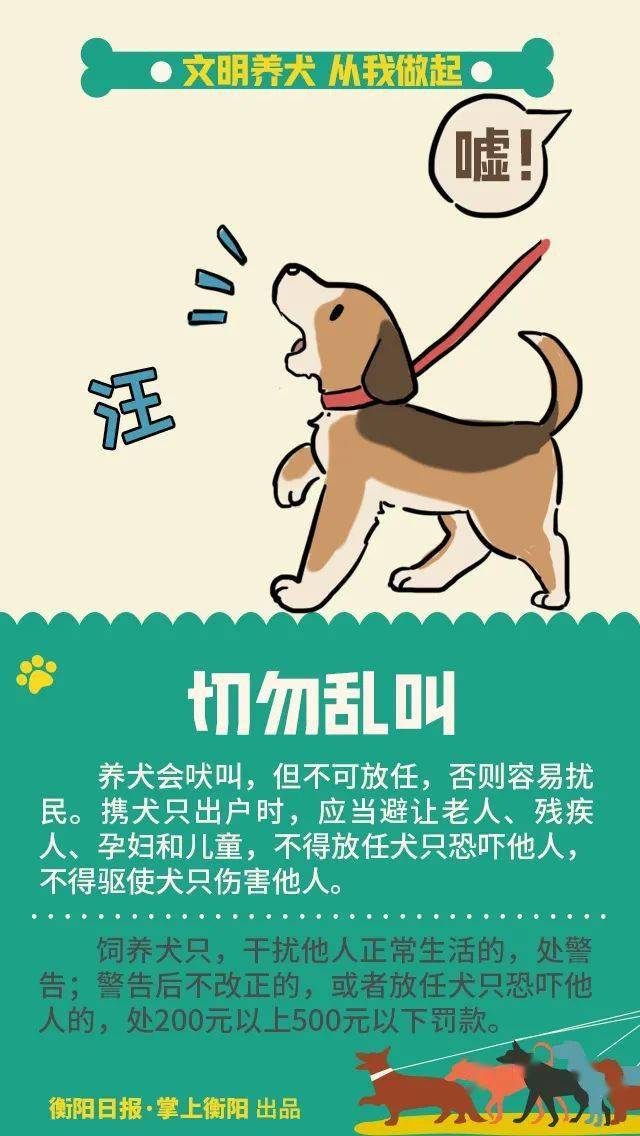 既是宠物,也是家人!希望大家都能遵守条例文明养犬,共建美好