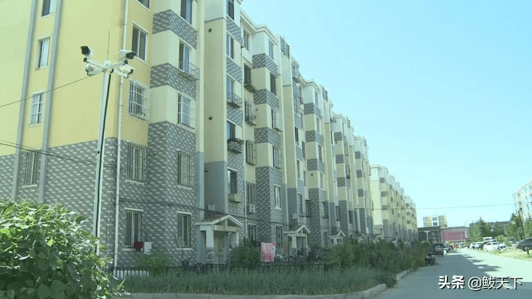 创城之路我们同行芦屯镇开展创城有我清洁家园志愿服务活动