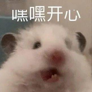 段奕宏|段奕宏大鹏《双探》定档;《长津湖》定档国庆