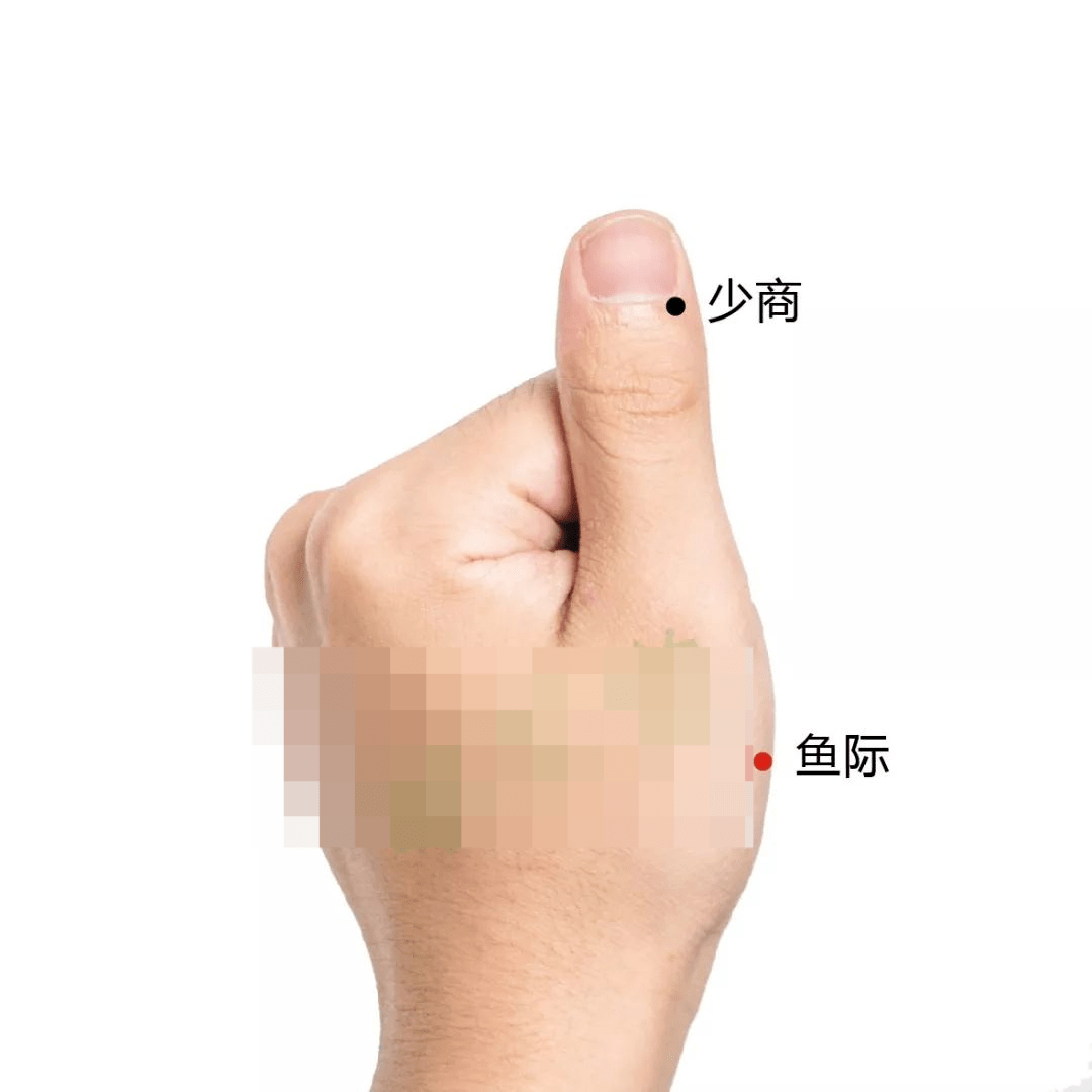 5d2355a01eb24850891cda77add96e90.png