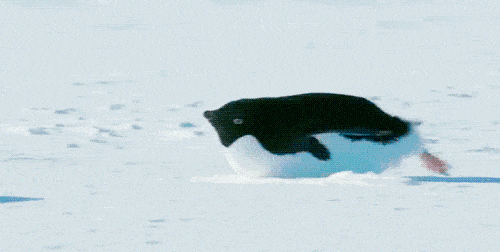 500_252gif 动态图 动图