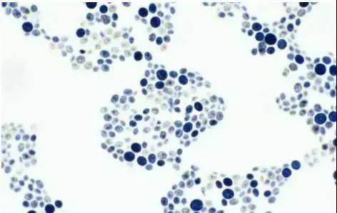 皮肤|观方好物 | 华山医院研制的这罐身体乳，我能囤一辈子