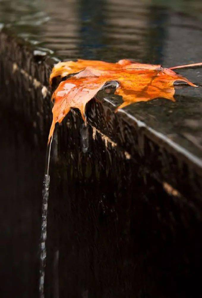 一场秋雨一场凉秋雨绵绵秋意长