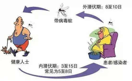 疫情|【健康風險提示】九月份這些疾病值得關注，請注意防范！