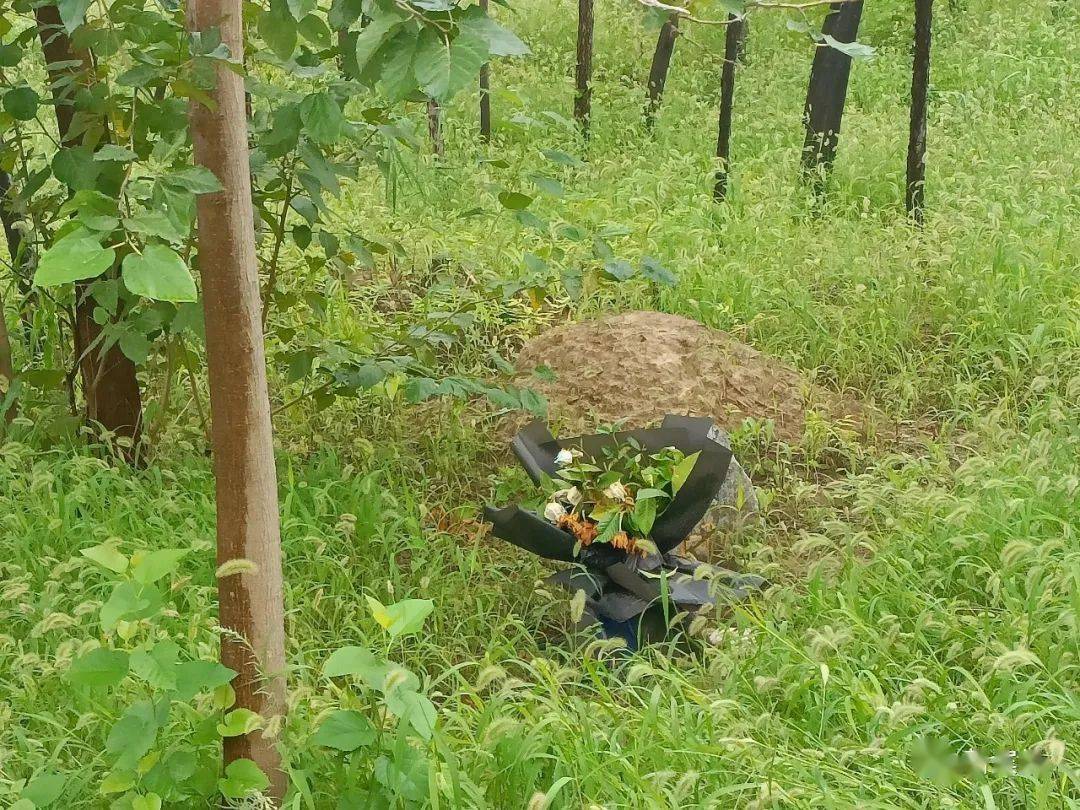 瘆人新立河公园内惊现小土包土包前还有花束无字石头
