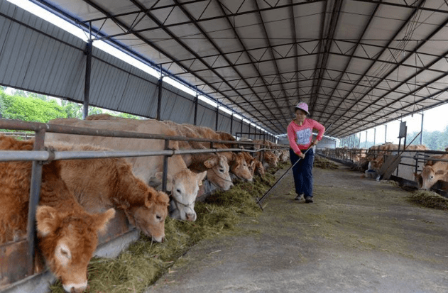 隔离|山东出现炭疽病例！