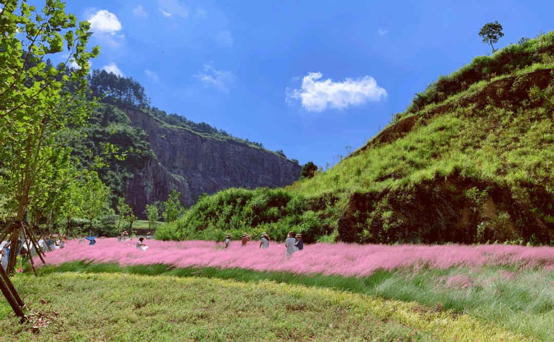 都匀花海图片