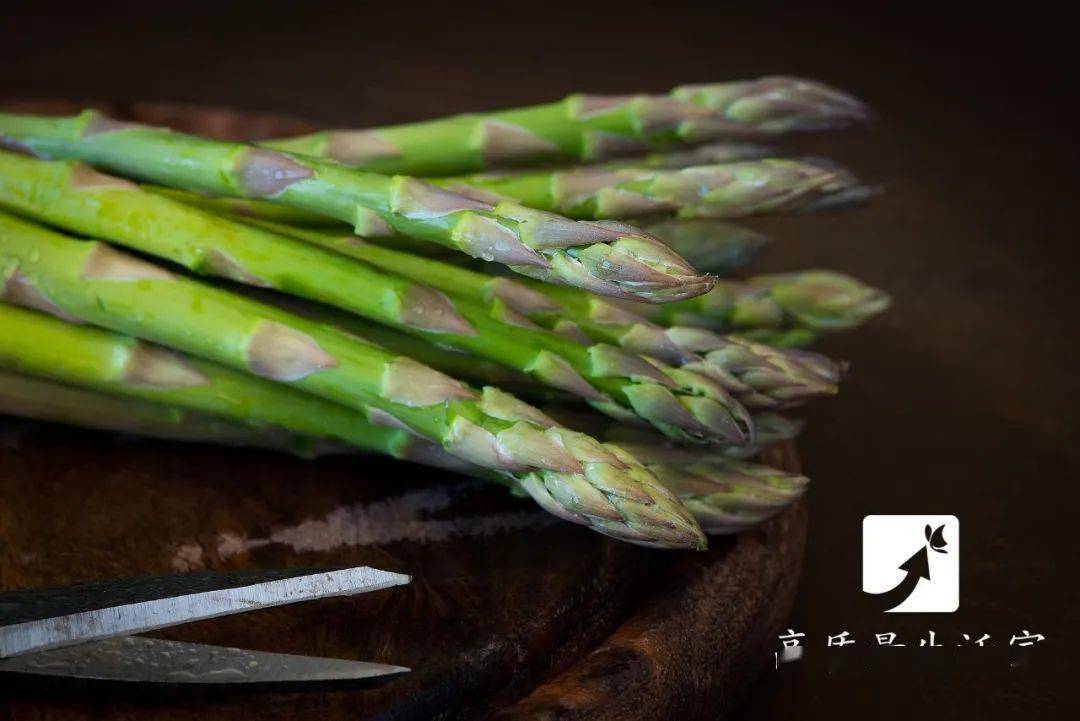 笋是高嘌呤食物吗 7c67743450f54e238fd81c6418cd7665.jpeg