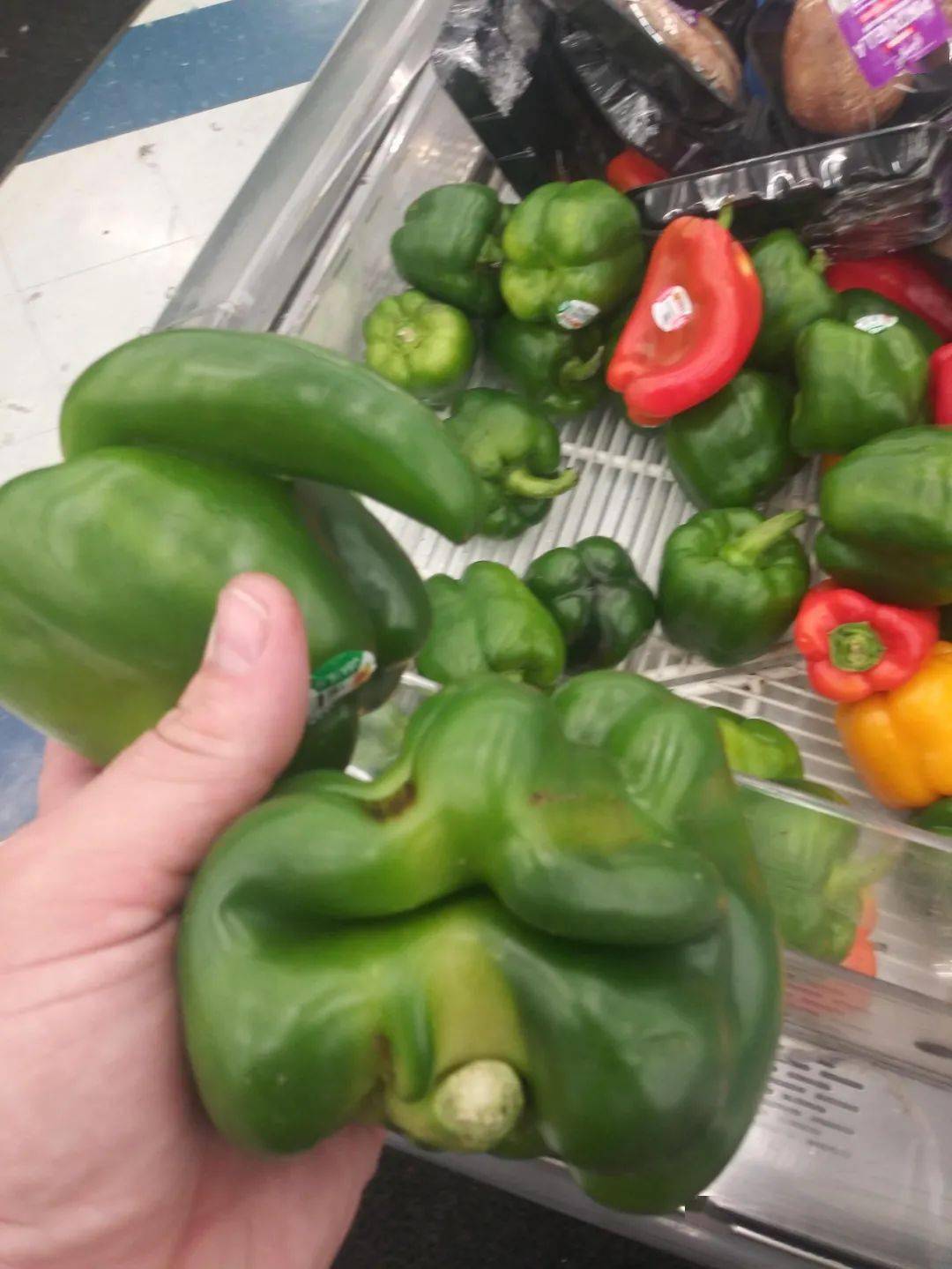 辣椒果一直不长,有的畸形没有籽,有的形成大头果,最后形成僵果.