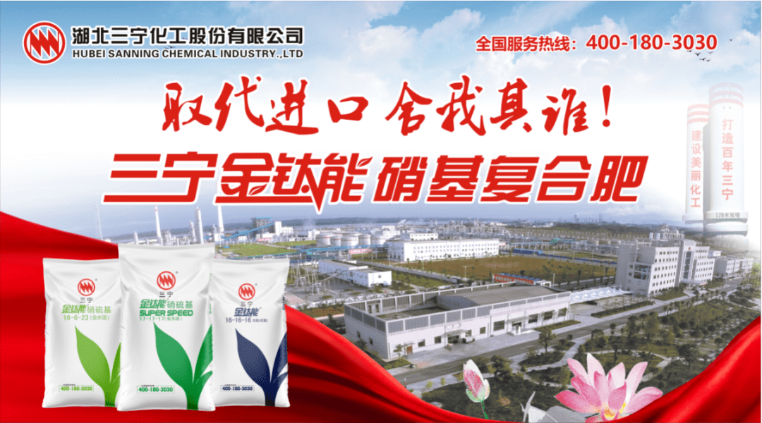 a4ad5c6b25344ab789f8dcb8668b62e1.png