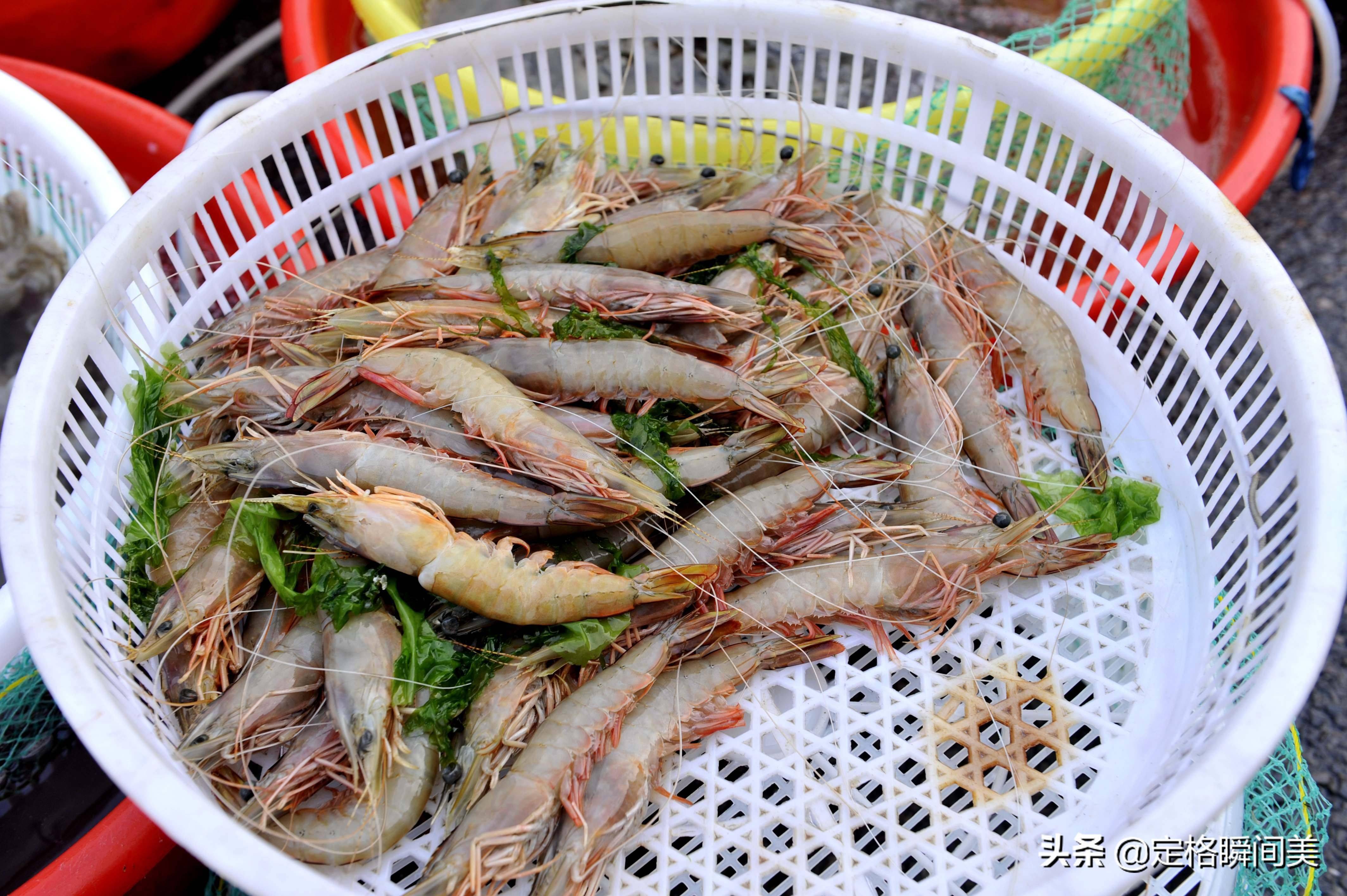 上大虾很多,外国进口来的阿根廷红虾,高背长额虾,北国赤虾等海虾种类