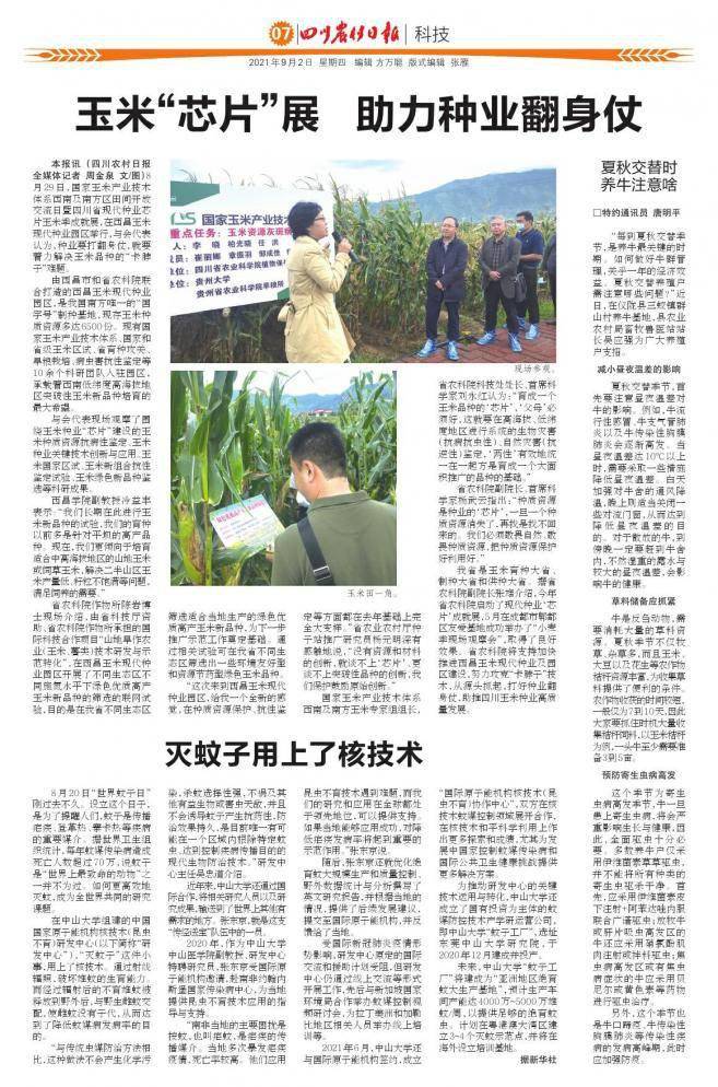 蚊子|灭蚊子用上了核技术