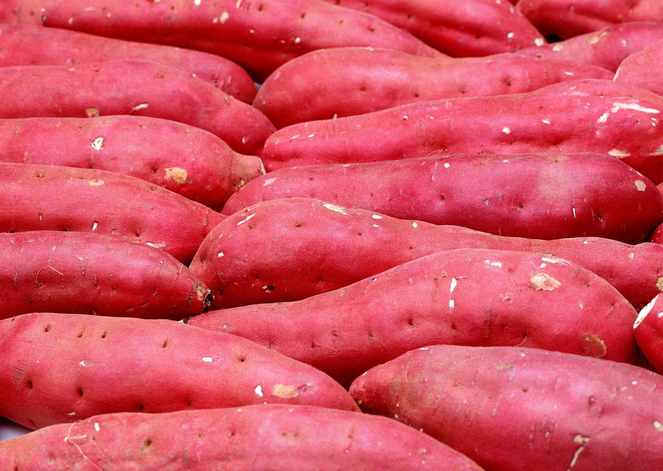 eba16994875349e4ab8989864d1ee148.jpeg