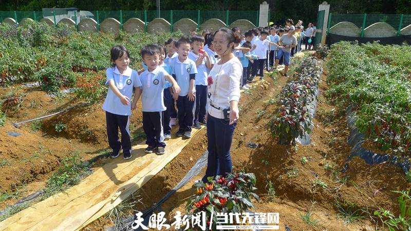 苗苗|【我为群众办实事】解决职工后顾之忧:贵州省农科院积极引进社会力量开办幼儿园