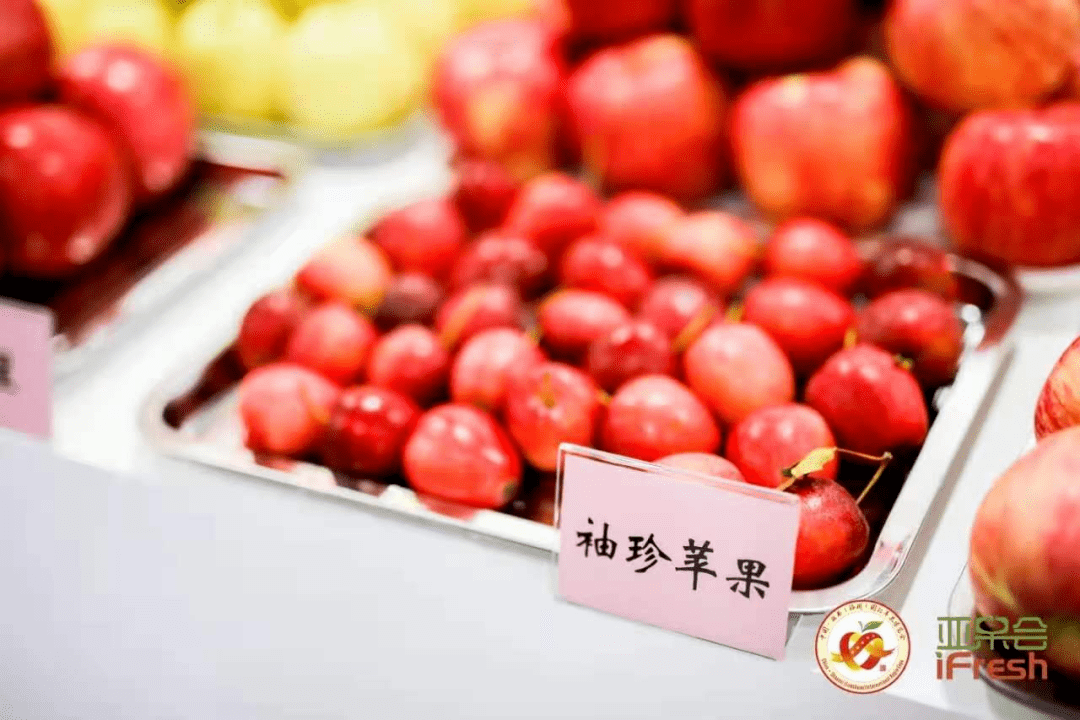 洛川苹果中国红！第十四届中国•陕西(洛川)国际苹果博览会定于9月26日-28日举办