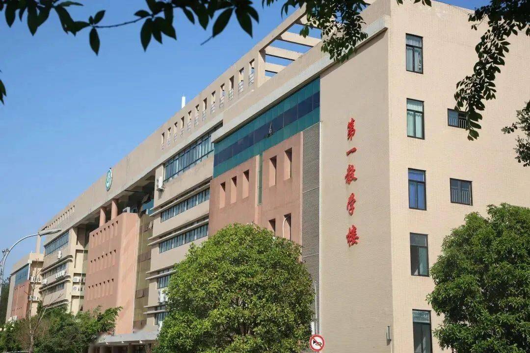 赣南医学院 黄金图片