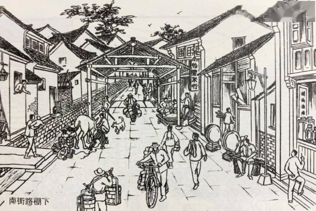 丰惠老街隐在水乡里的诗意与回忆