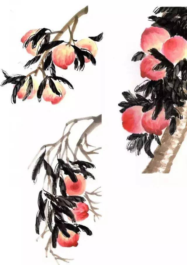 画国画桃子的画法步骤