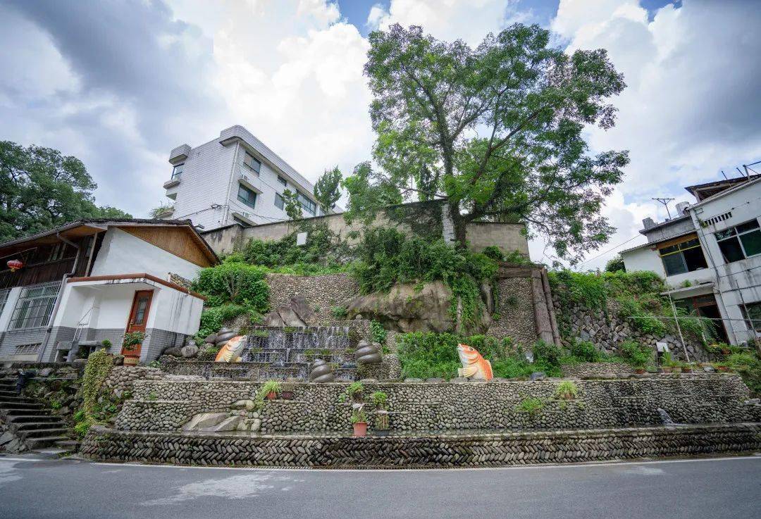 景宁英川 | 烟火人间,风味长存,我把四季用来等你