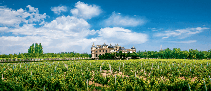 葡萄|周末好时光,沿着贺兰山东麓寻源、探秘、品鉴,来一场与众不同的酒庄之旅!