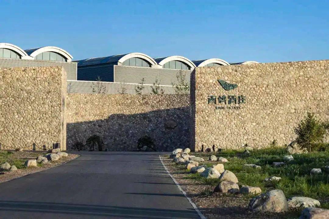 葡萄|周末好时光,沿着贺兰山东麓寻源、探秘、品鉴,来一场与众不同的酒庄之旅!
