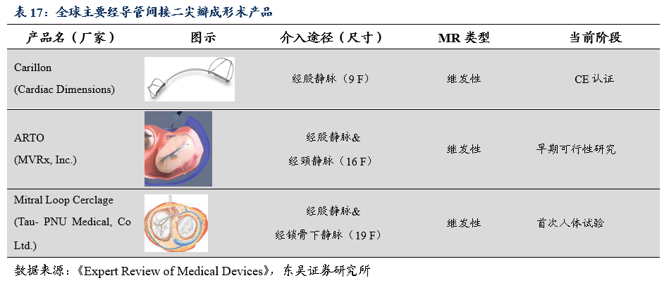 二尖瓣三尖瓣介入治療行業專題報告:百舸爭流,下一個黃金賽道誰主沉浮