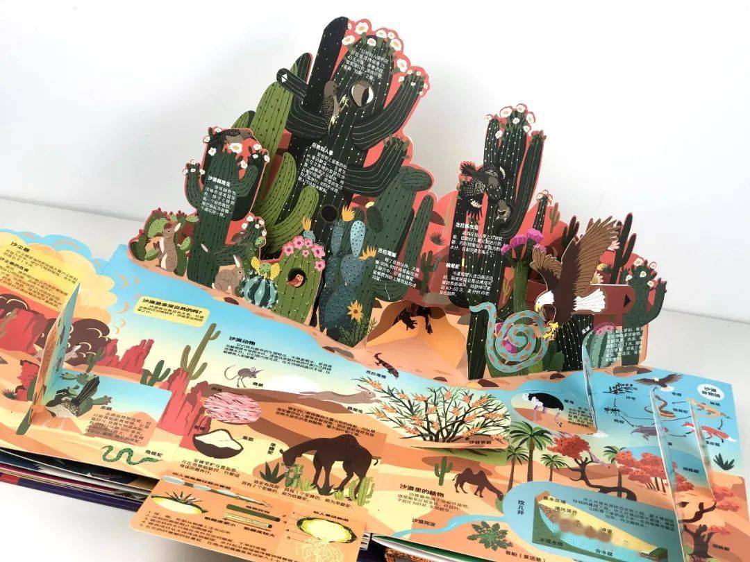 爱不释手系列超酷炫地球立体书让孩子上知天文下知地理给孩子量身打造