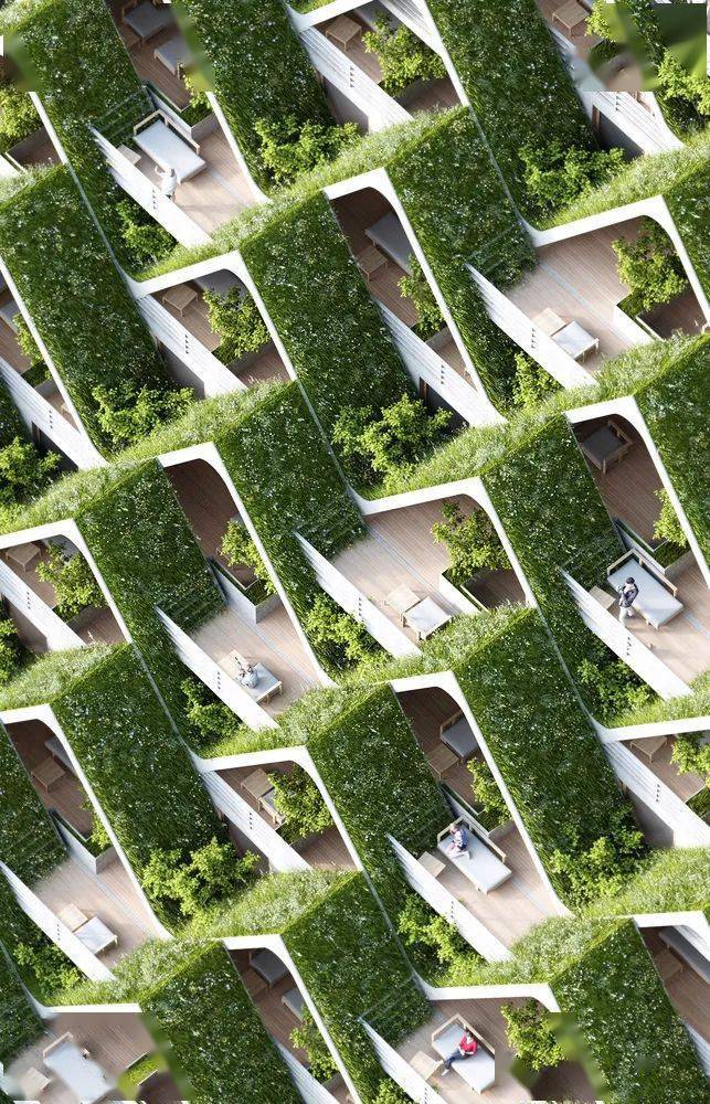 立体绿化no简单的爬墙上顶?优秀的立体绿化设计来一波