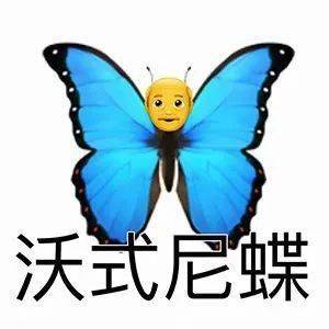 沙雕諧音梗表情包艾鼬臥草