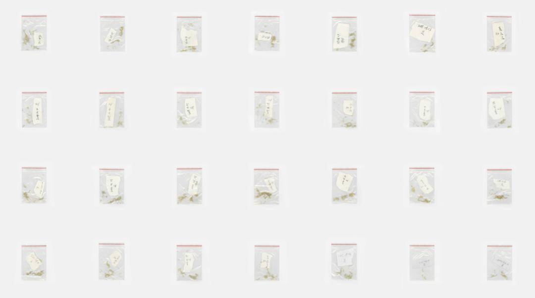 量子|量子观察者（2011-2021）：送另一个我去另一个宇宙