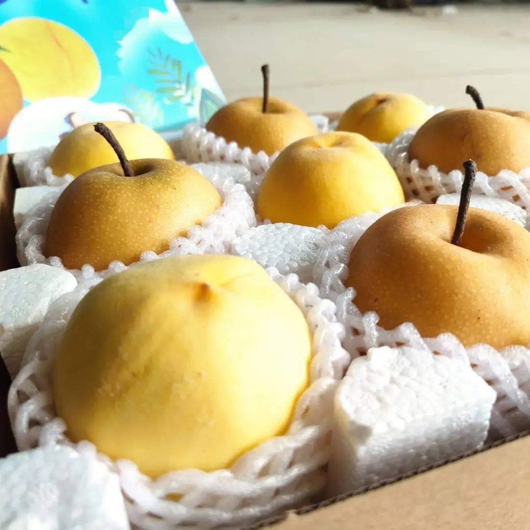 【礼盒·顺丰】"桃梨满天下"9·10教师节!师恩似海深!金黄后黄桃 秋月