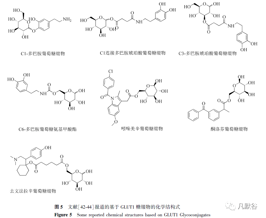 葡萄糖轉運蛋白 1 的結構修飾在腦部藥物輸送方面的應用進展_載體