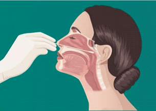 核酸检测鼻部位置图图片