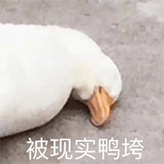 林珊珊|差评最多的4家网红淘宝店，第3家你绝对买过！