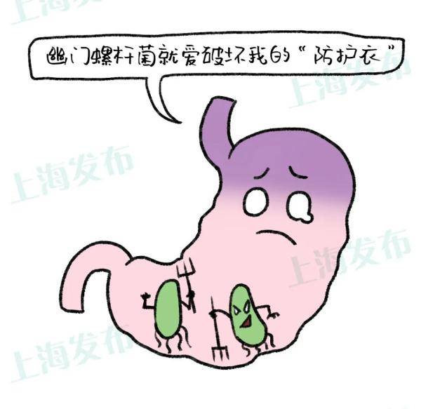 细胞|【医聊】从胃炎到胃癌，胃粘膜扛下了所有~