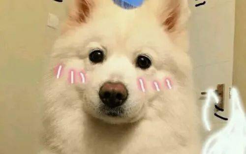 c9d3913b4a84459890581ac9a7014bcd.jpeg