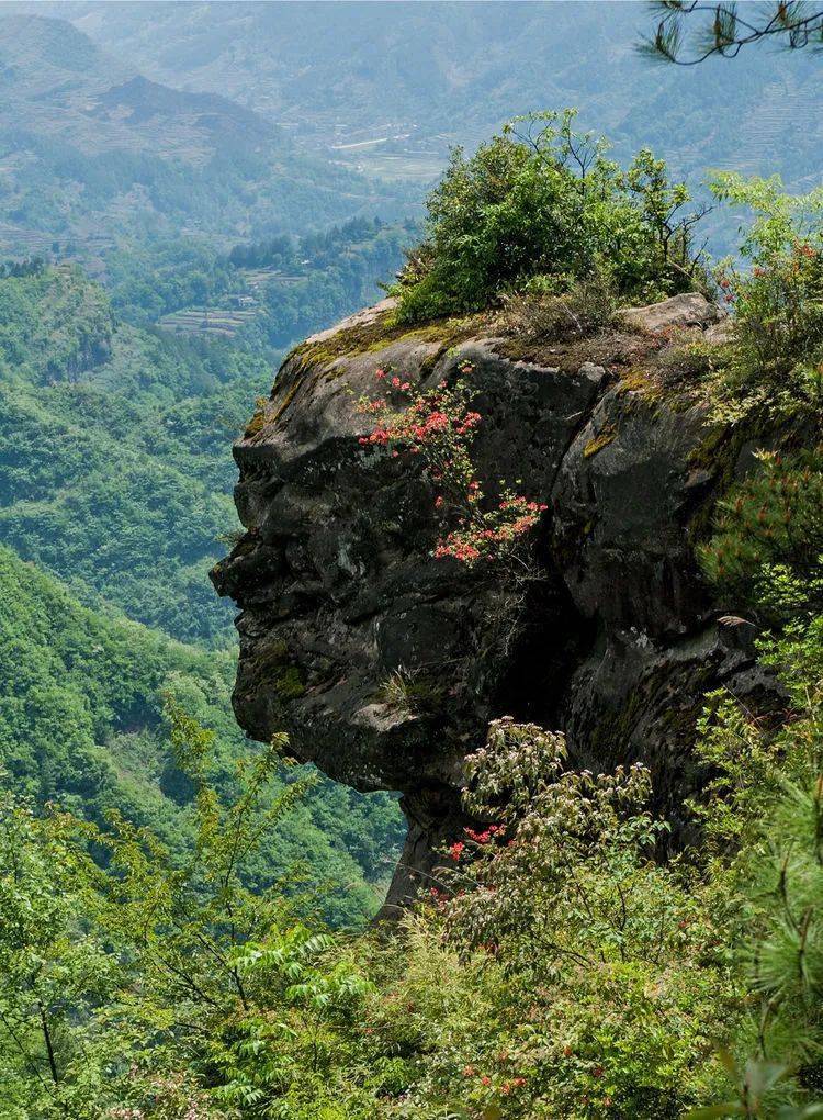 轻风拂晨雾全文 ea6d355b47654f3987852defec18f5a7.jpeg