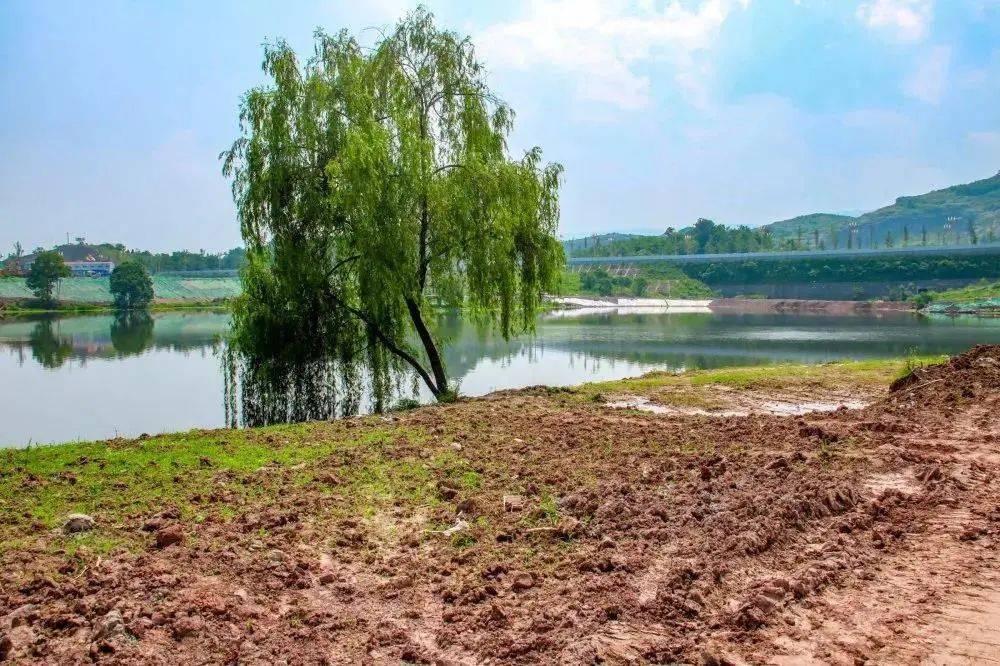 柳家壩濱江溼地公園項目位於達州市通川區羅江鎮柳家壩,公園沿州河而