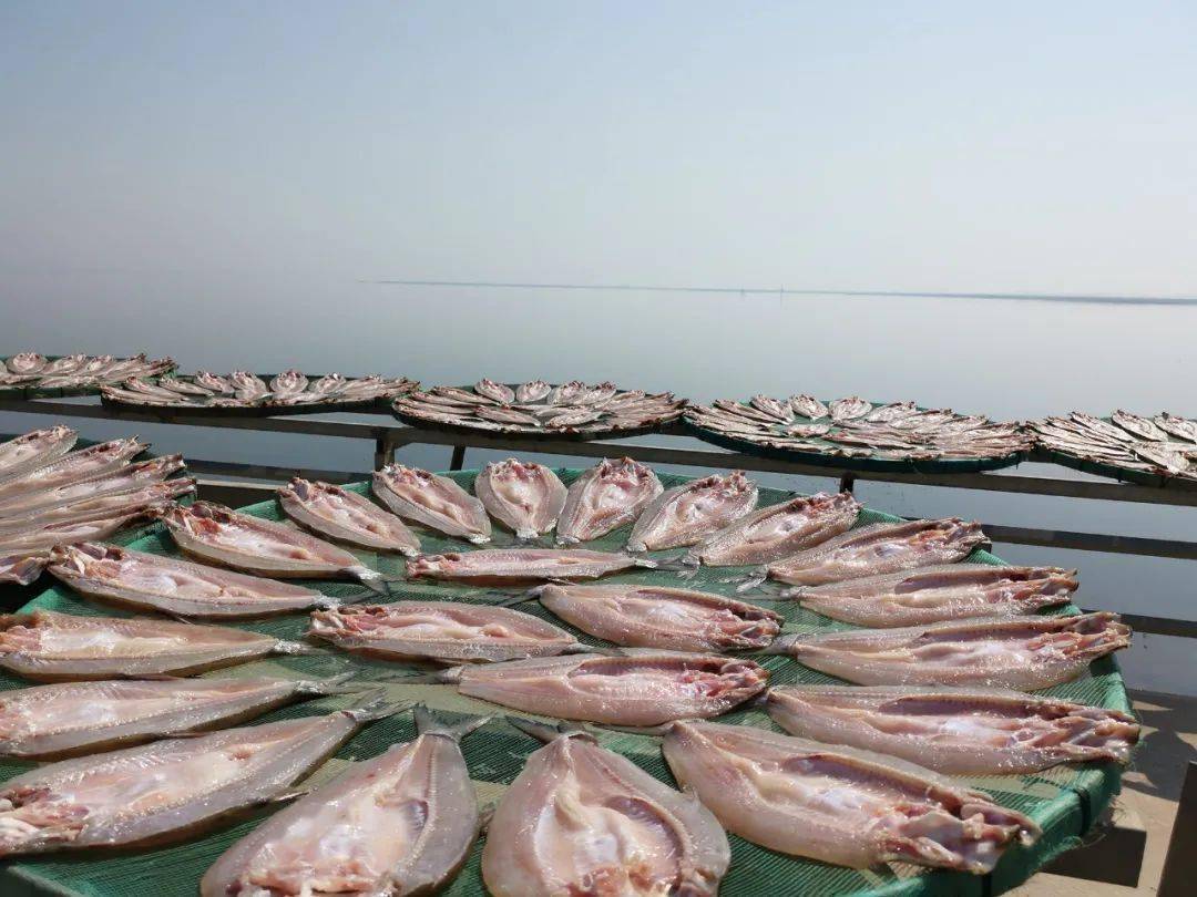 六门闸"捕鱼人"转型记